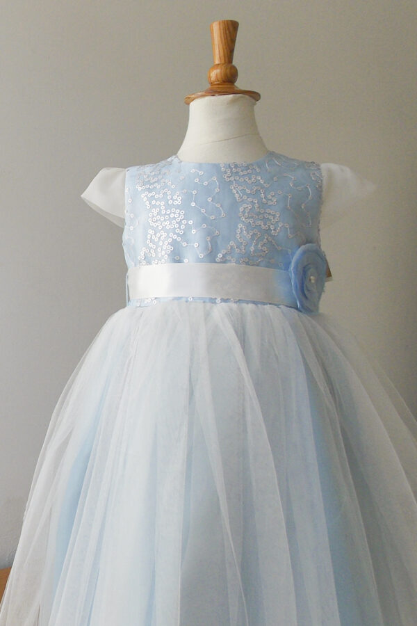 Vestido Press ¨Medici¨ Detalle Azul Mariflopa