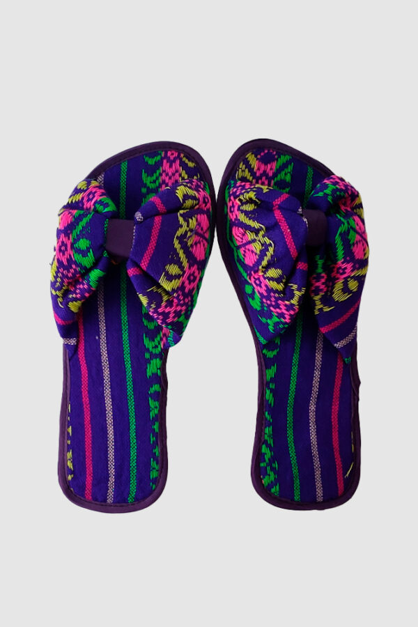 Pantufla Mexicana Morada Plano Cenital