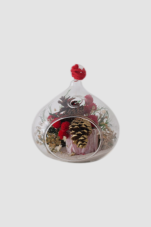 Esfera Terrarium Navidad Frente