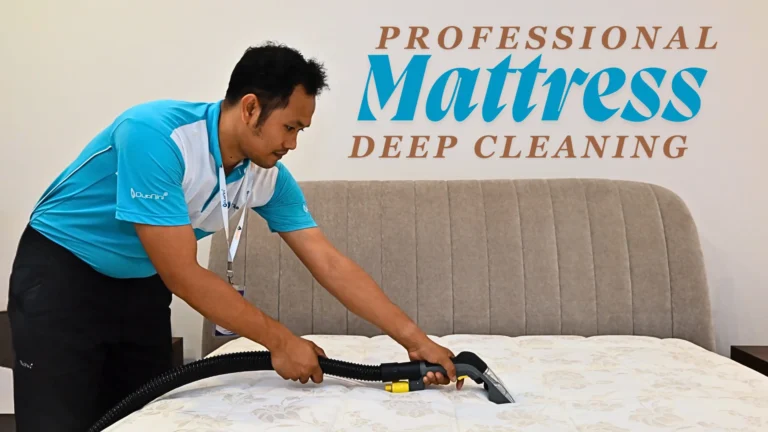 Mattress Cleaning and Carpet Cleaning in Singapore – A Cleaner, Healthier Home  with Duo Nini 